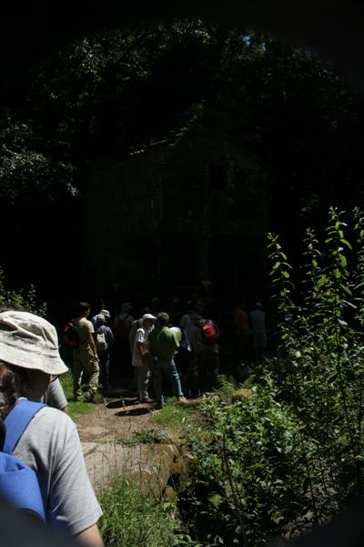 taxomara 2007 (171)